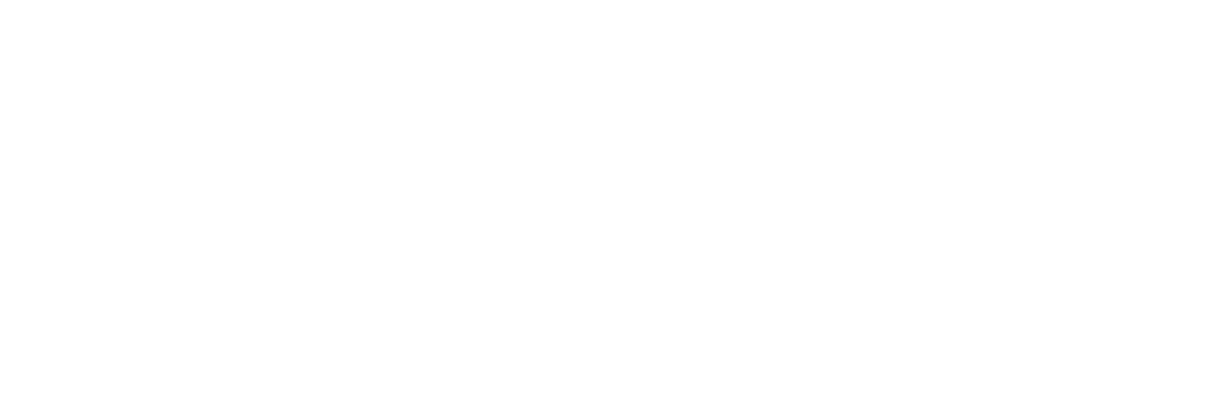 LOGO ZAIROS